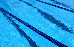 Natation_sample4.jpg